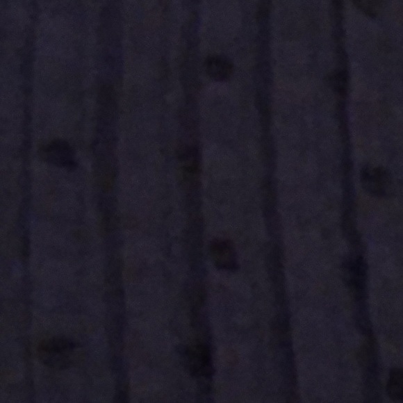 Gap - Swiss Dot blouse with pin tuck bodice Sz Med - Picture 8 of 9